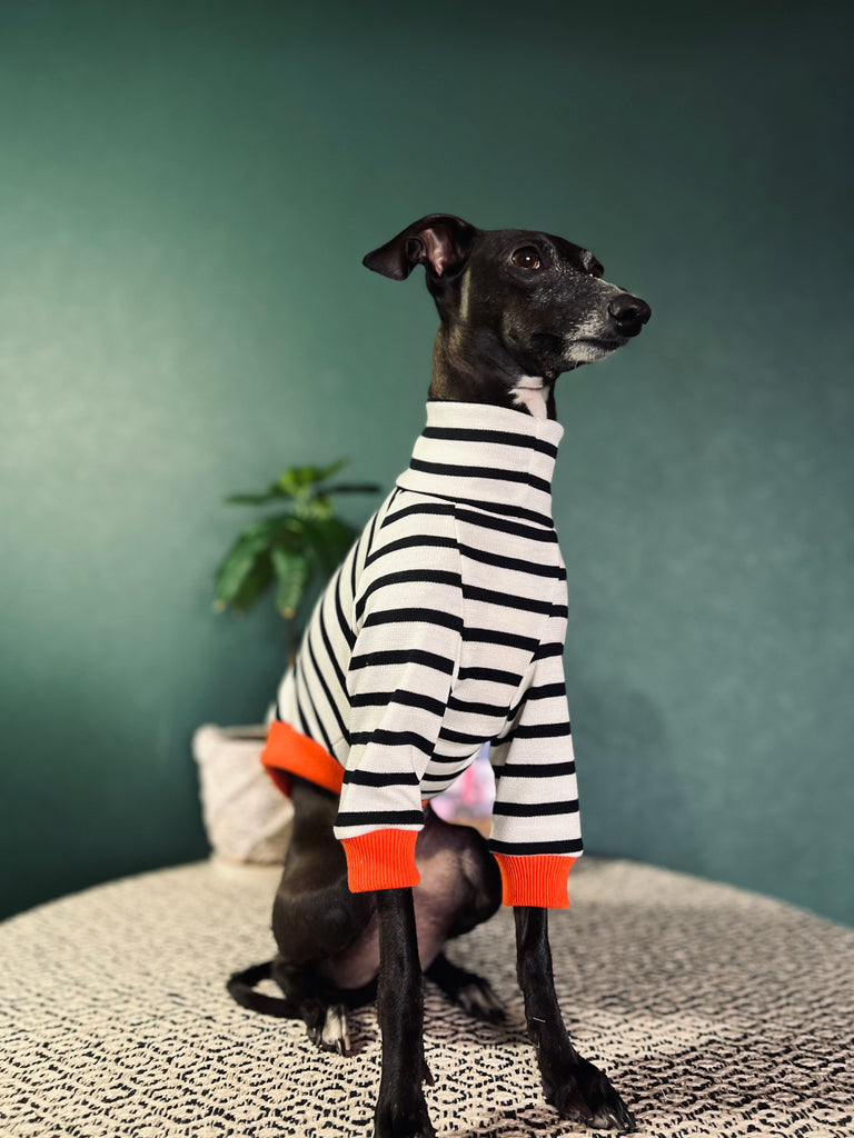 "HYGGE2" Border Knit Pullover NO.1 None Darts