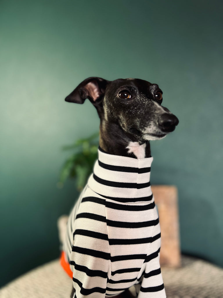 "HYGGE2" Border Knit Pullover NO.1 None Darts