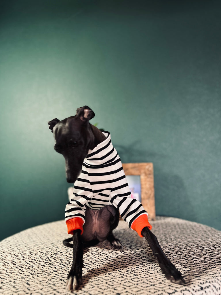 "HYGGE2" Border Knit Pullover NO.1 None Darts