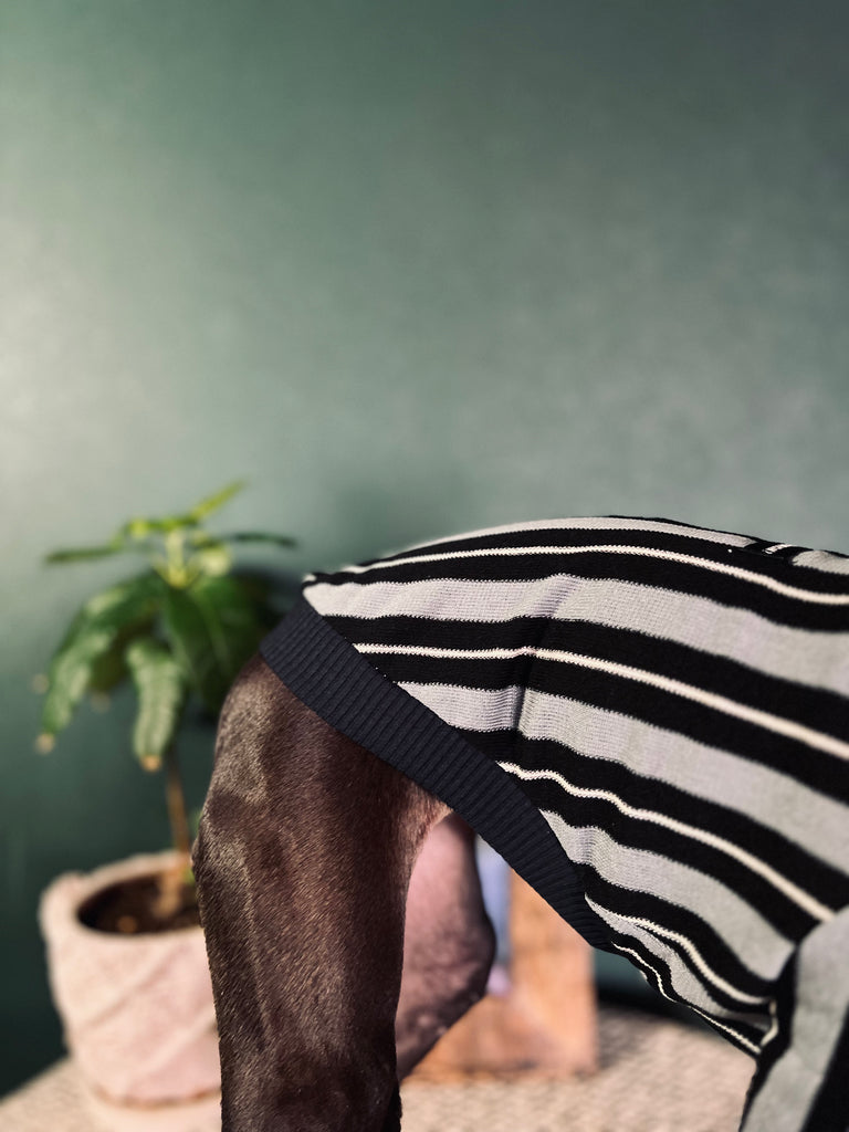 "HYGGE2" Asymmetry Stripe pullover None darts No.1
