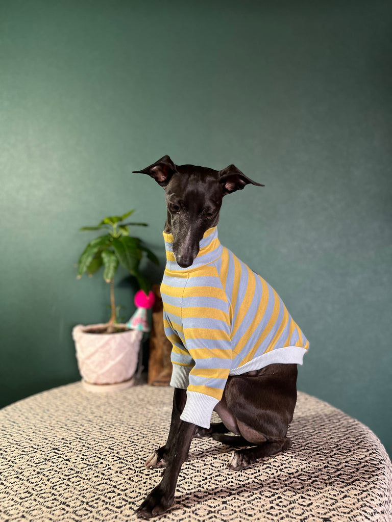 "HYGGE2" Cotton Border knit None Darts Pullover