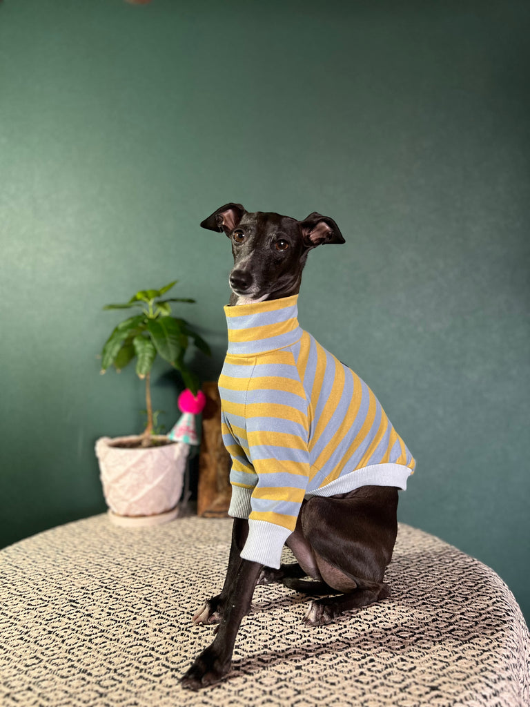 "HYGGE2" Cotton Border knit None Darts Pullover