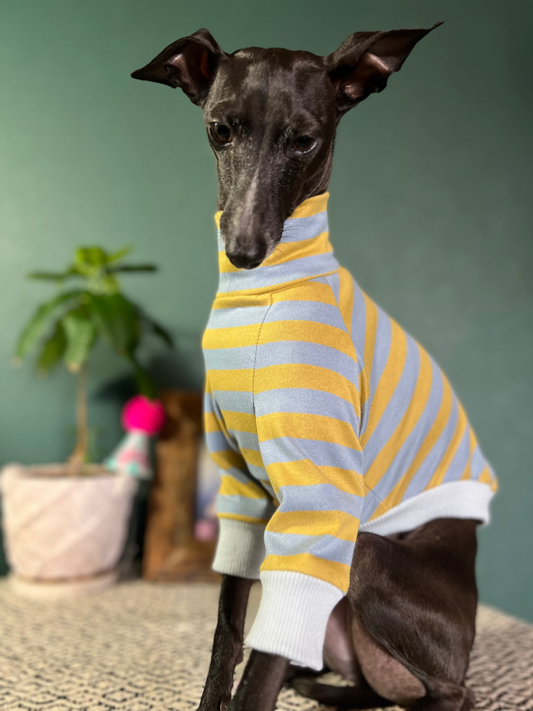 "HYGGE2" Cotton Border knit None Darts Pullover
