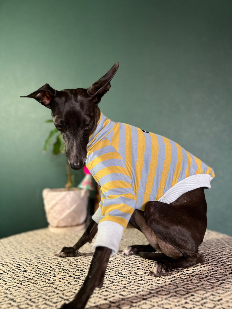 "HYGGE2" Cotton Border knit None Darts Pullover