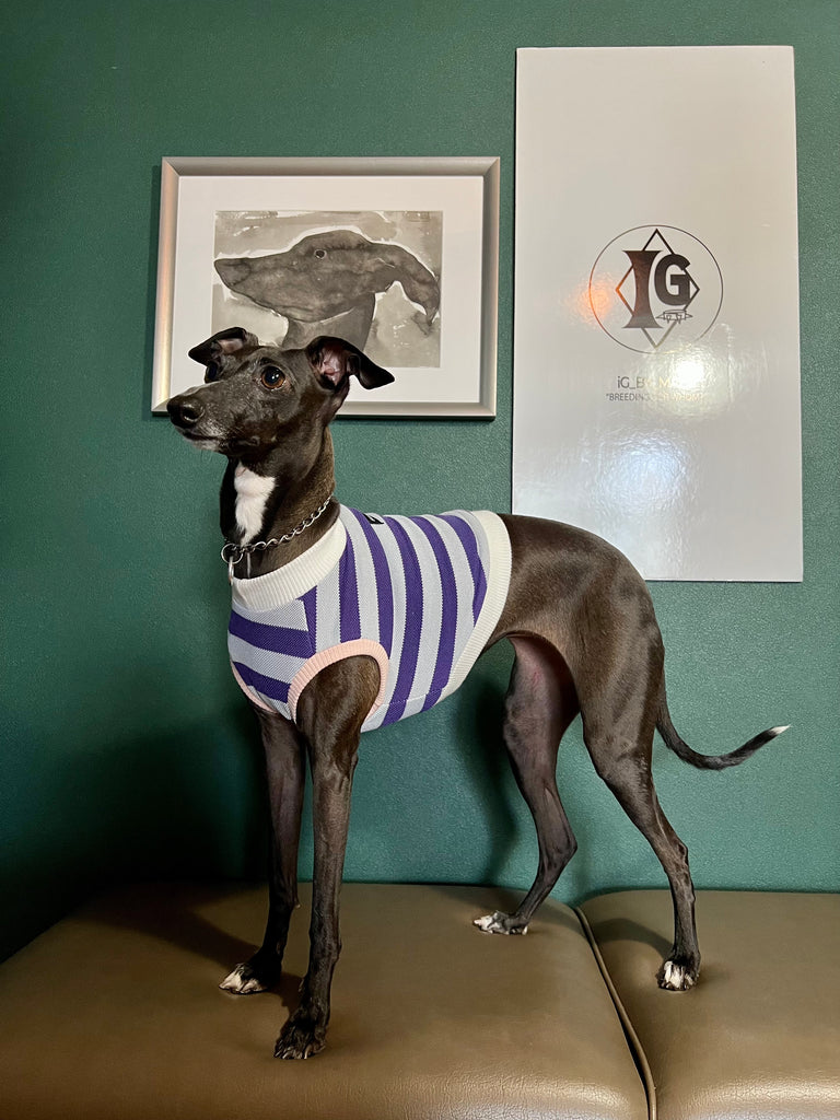 "go-to" No-Sleeve Stripe Purple