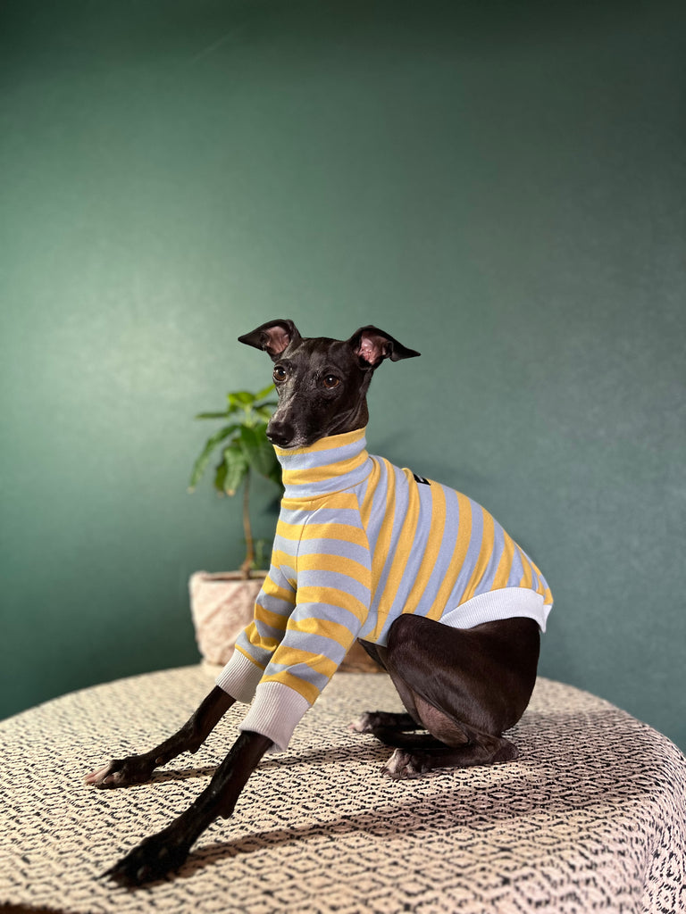 "HYGGE2" Cotton Border knit None Darts Pullover