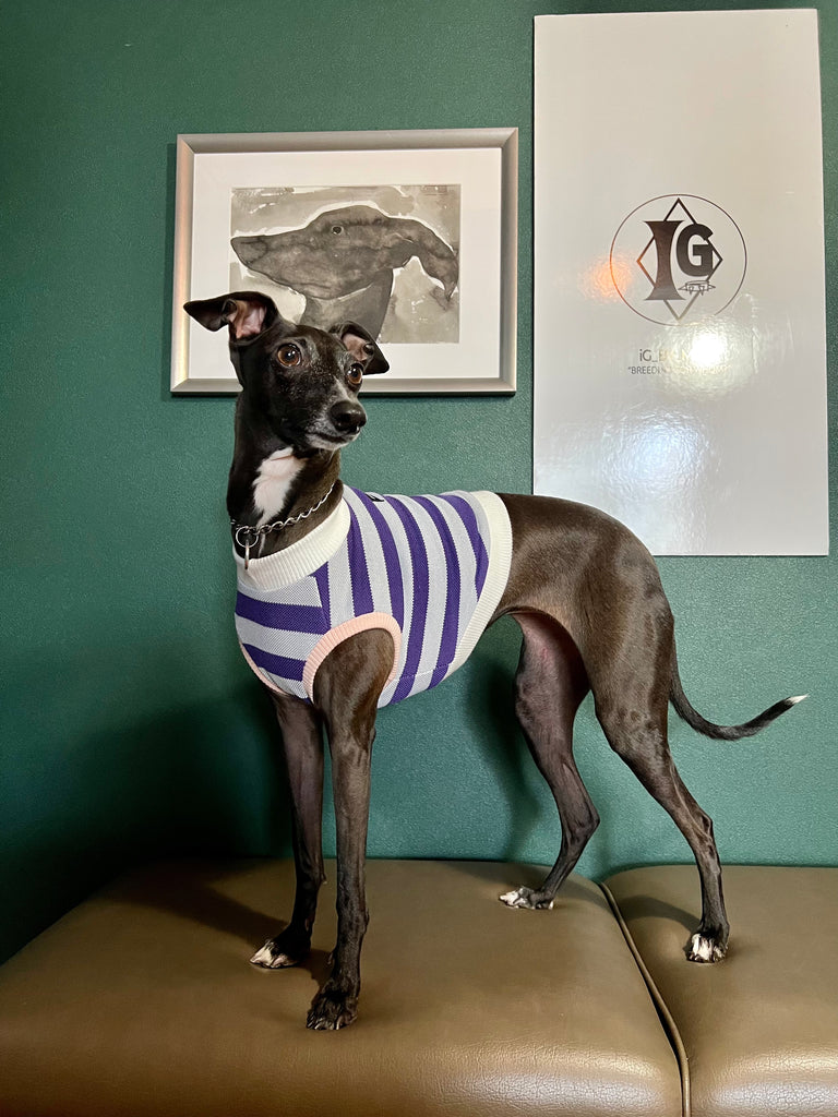 "go-to" No-Sleeve Stripe Purple