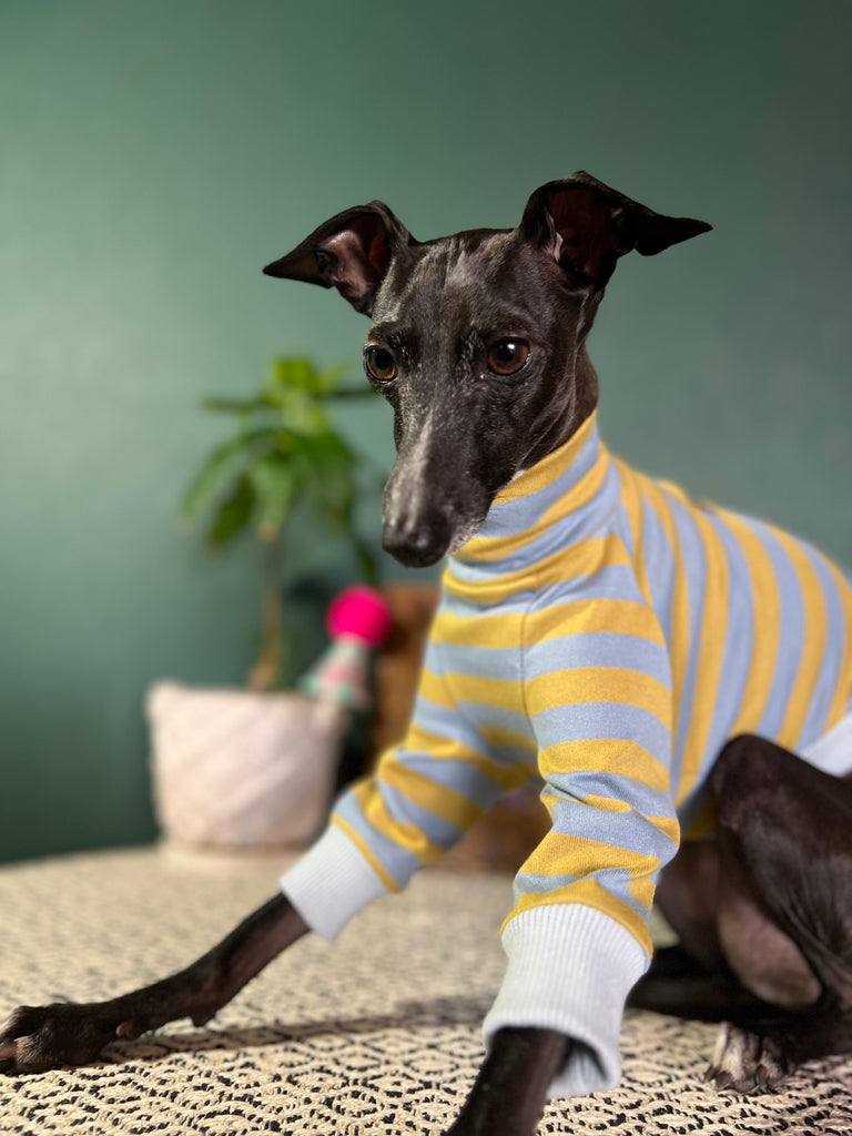 "HYGGE2" Cotton Border knit None Darts Pullover