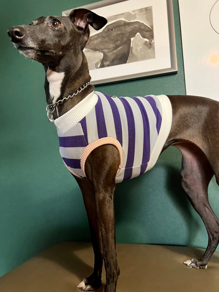 "go-to" No-Sleeve Stripe Purple