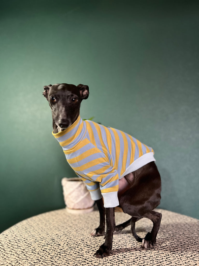 "HYGGE2" Cotton Border knit None Darts Pullover