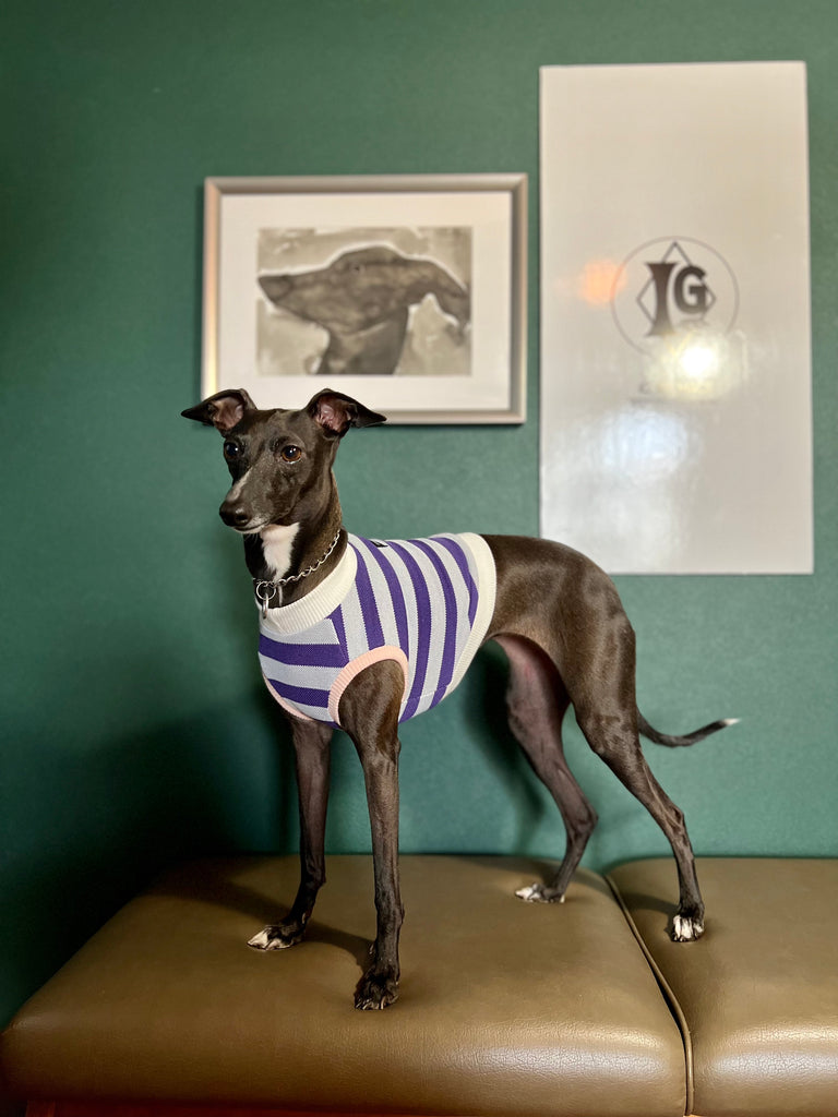 "go-to" No-Sleeve Stripe Purple