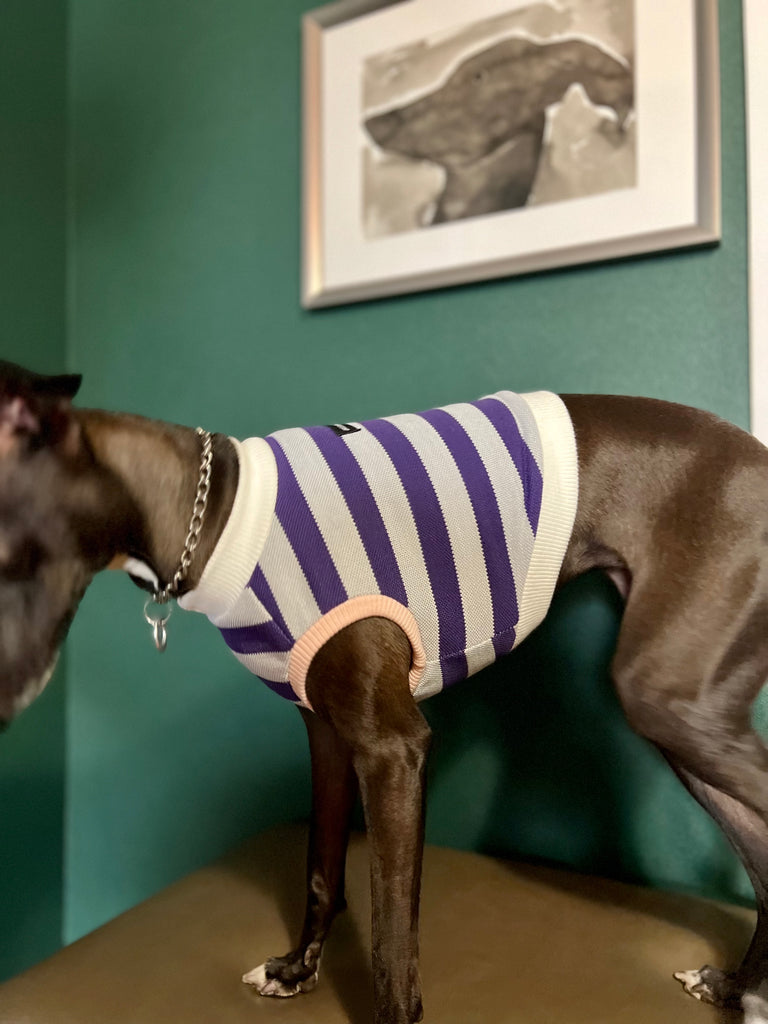 "go-to" No-Sleeve Stripe Purple