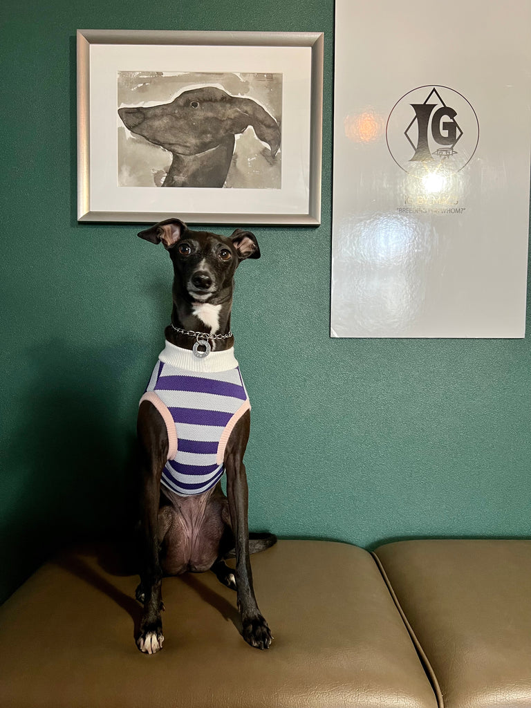 "go-to" No-Sleeve Stripe Purple