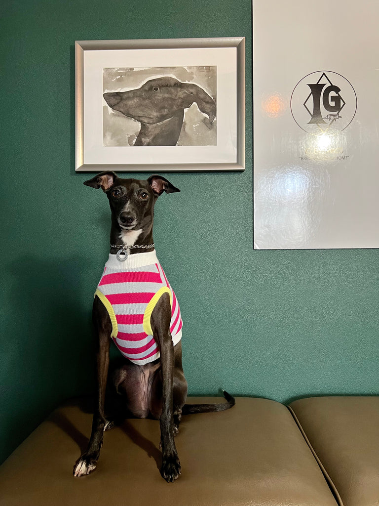 "go-to" No-Sleeve Stripe Pink