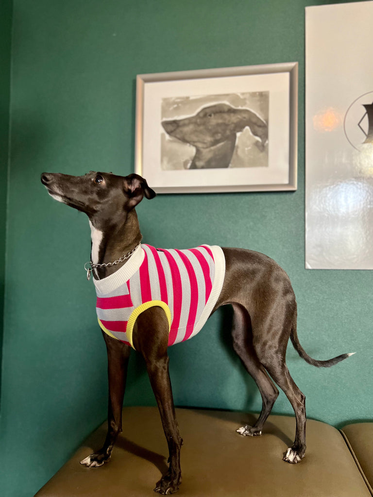 "go-to" No-Sleeve Stripe Pink