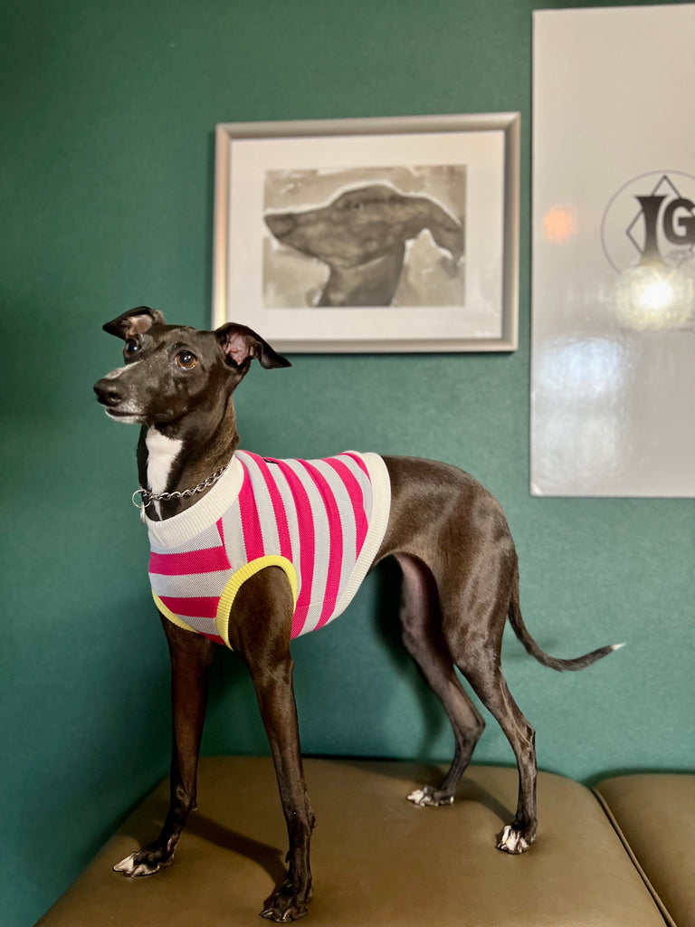 "go-to" No-Sleeve Stripe Pink