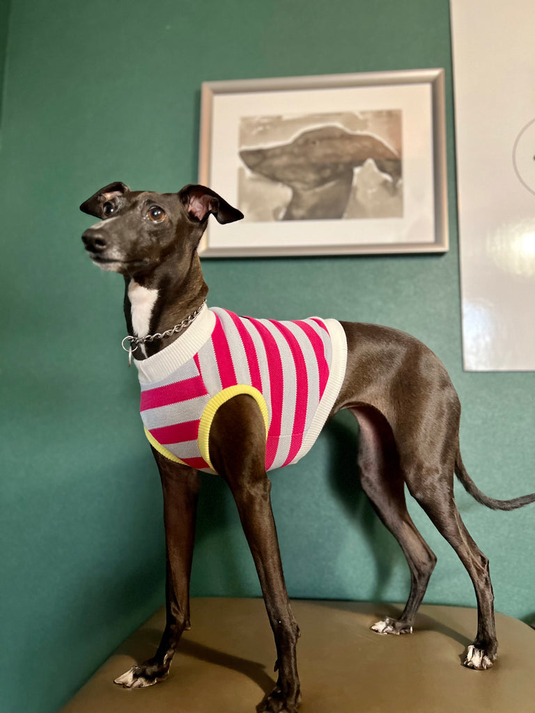 "go-to" No-Sleeve Stripe Pink