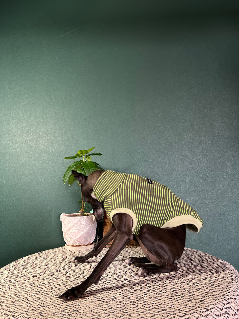"HYGGE2"Stretch Wave Knit No-Sleeve No.1