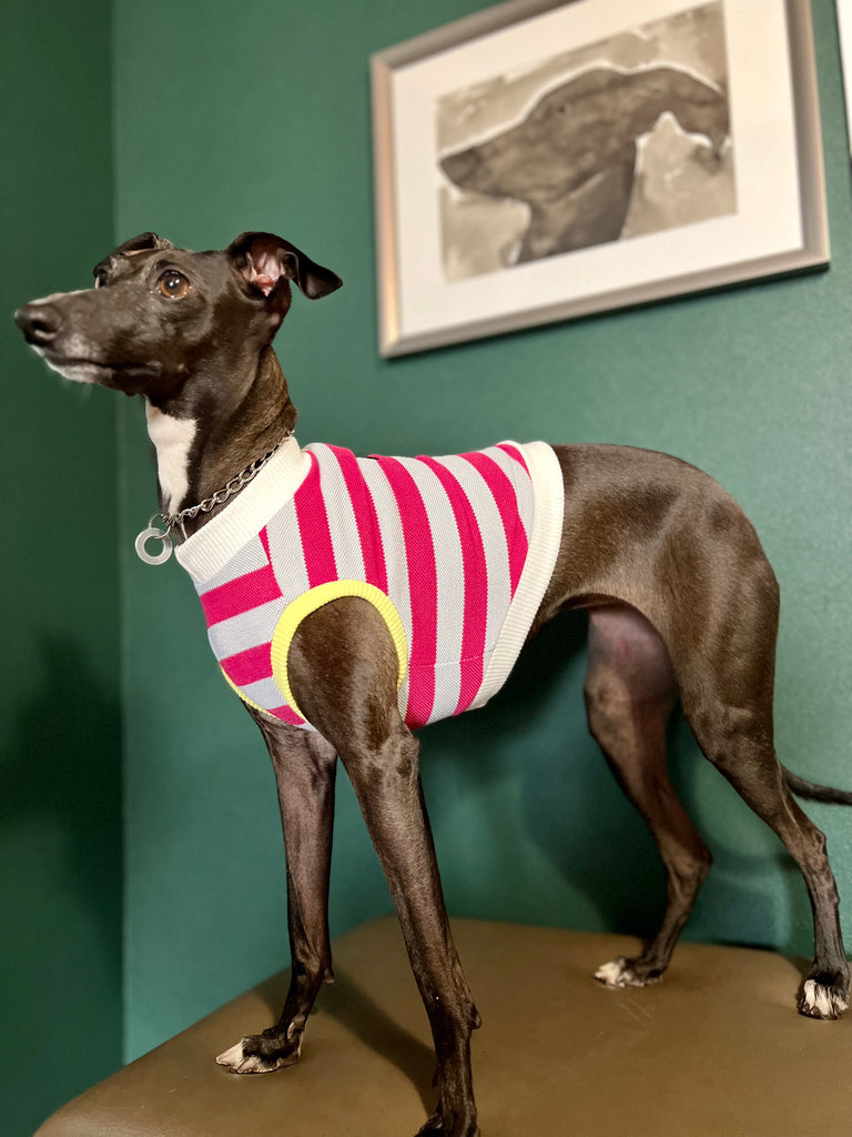 "go-to" No-Sleeve Stripe Pink