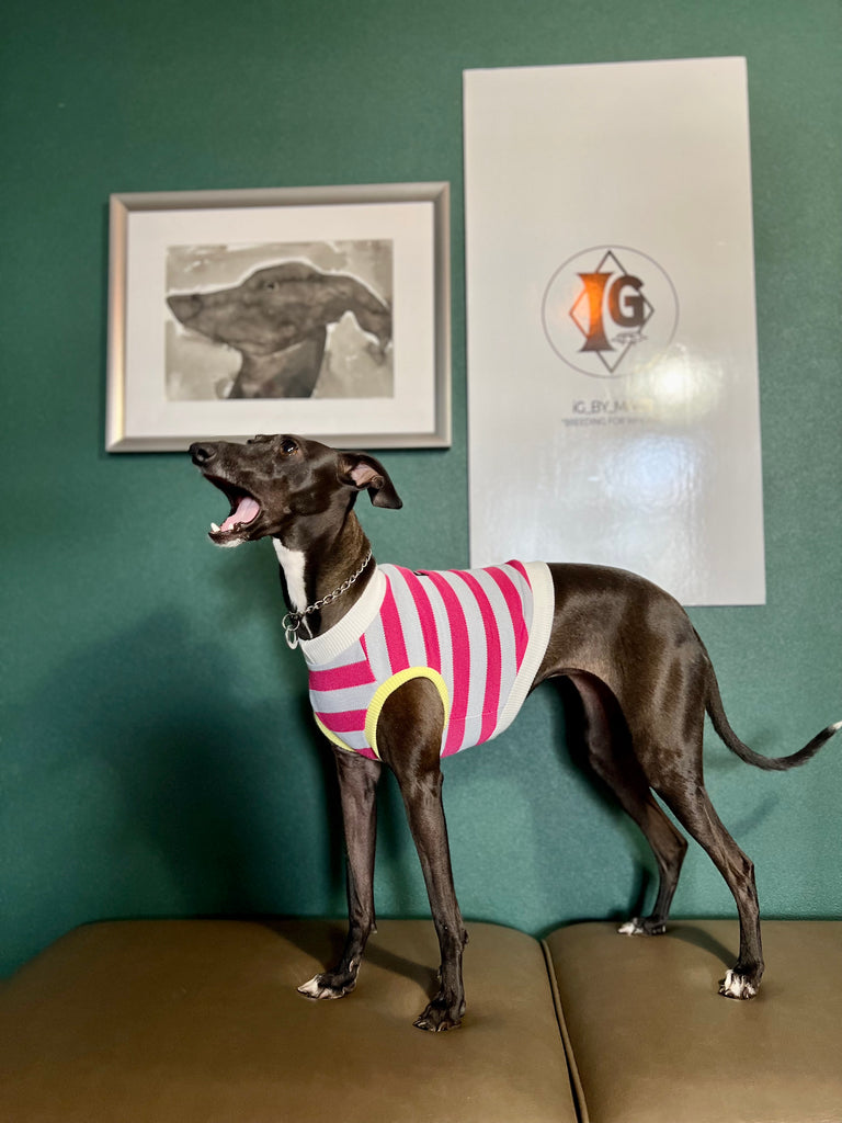 "go-to" No-Sleeve Stripe Pink