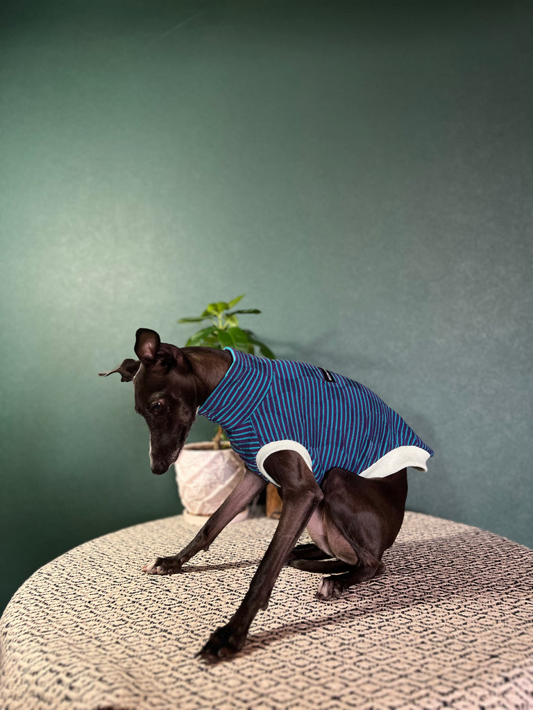 "HYGGE2"Stretch Wave Knit No-sleeve No.2