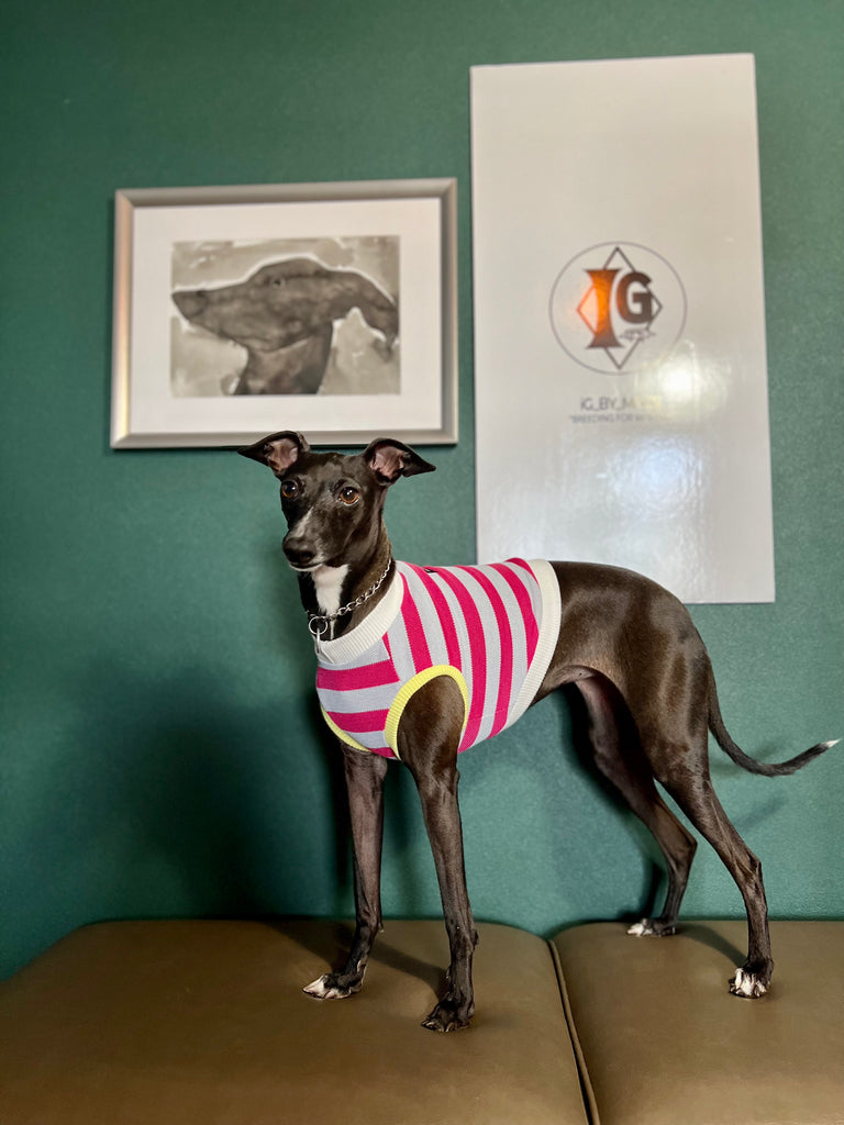 "go-to" No-Sleeve Stripe Pink