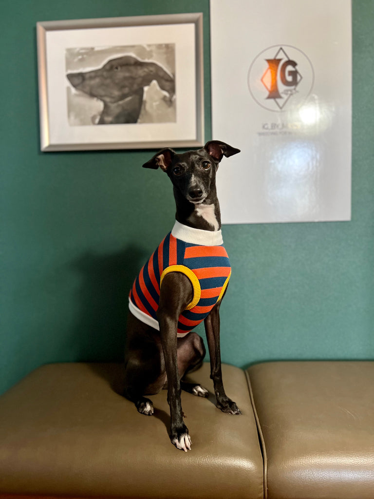 "go-to" No-Sleeve Stripe Navy