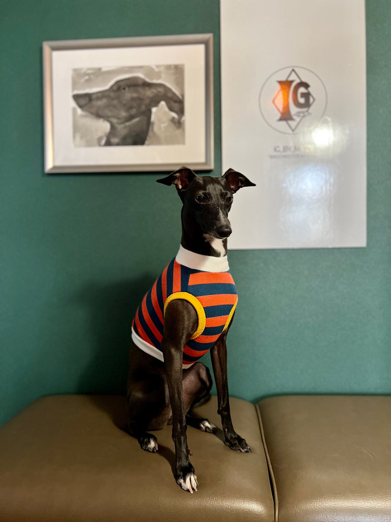 "go-to" No-Sleeve Stripe Navy