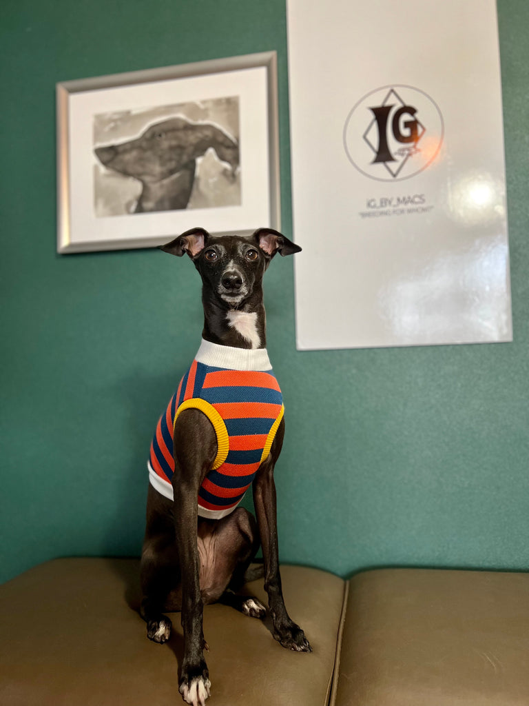 "go-to" No-Sleeve Stripe Navy