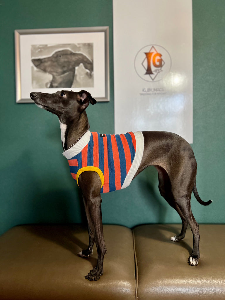 "go-to" No-Sleeve Stripe Navy