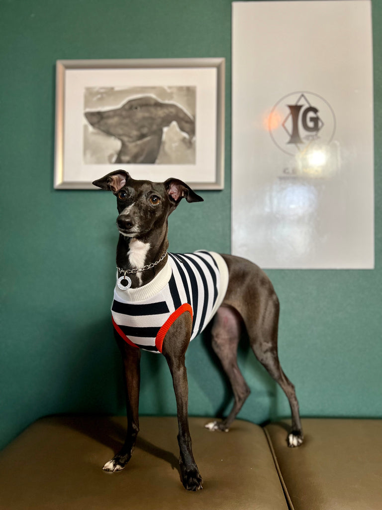 "go-to" No-Sleeve Stripe Black