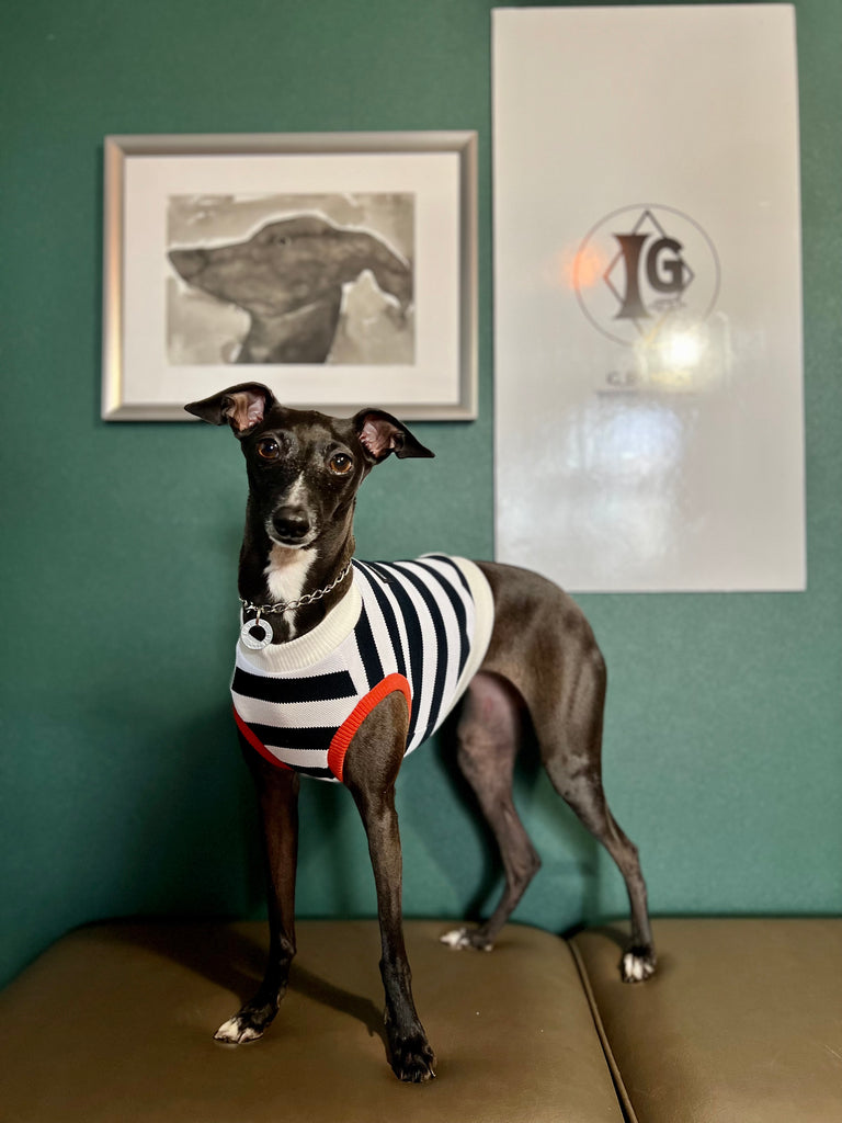 "go-to" No-Sleeve Stripe Black