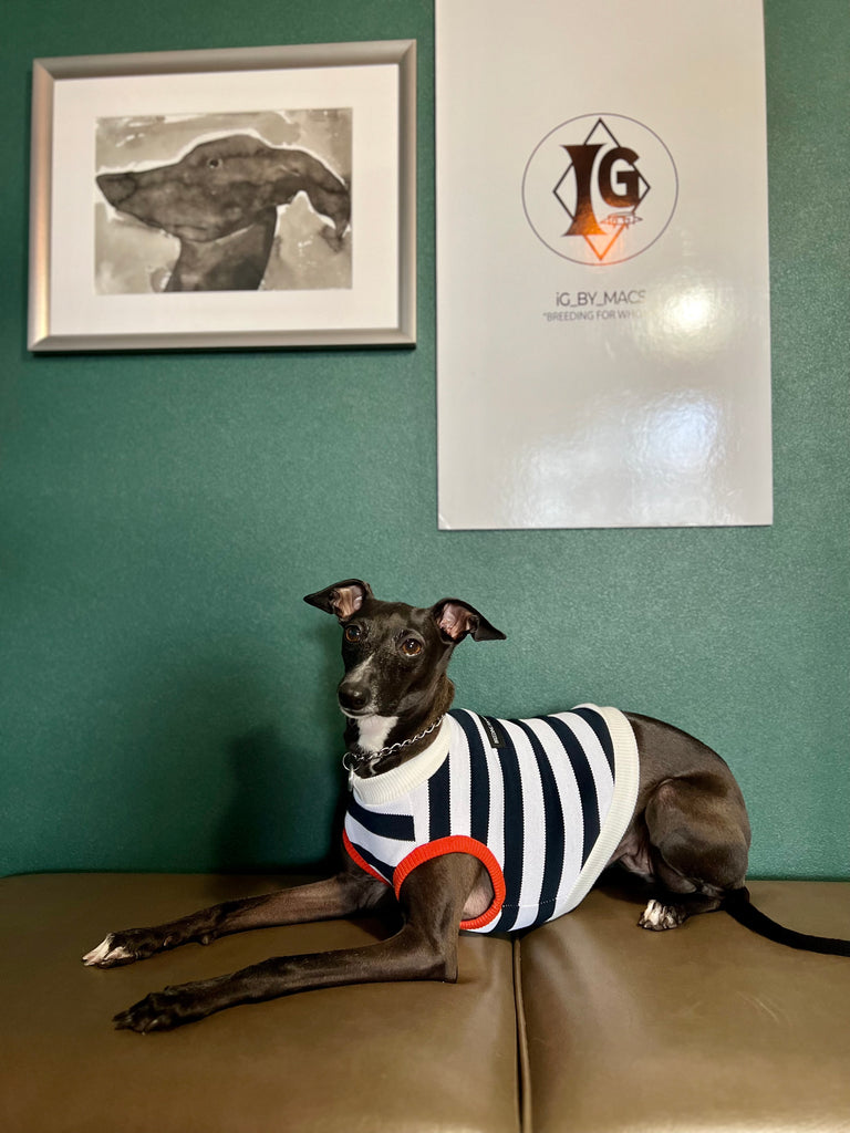 "go-to" No-Sleeve Stripe Black