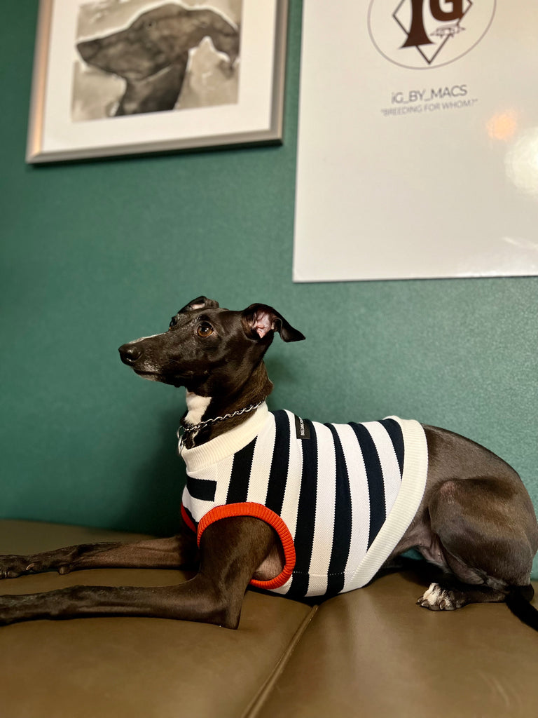 "go-to" No-Sleeve Stripe Black