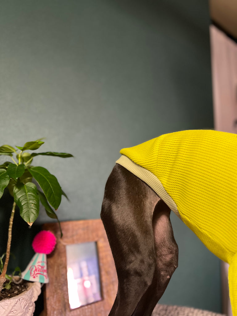 "HYGGE2" Asymmetry Nylon Pullover No.1