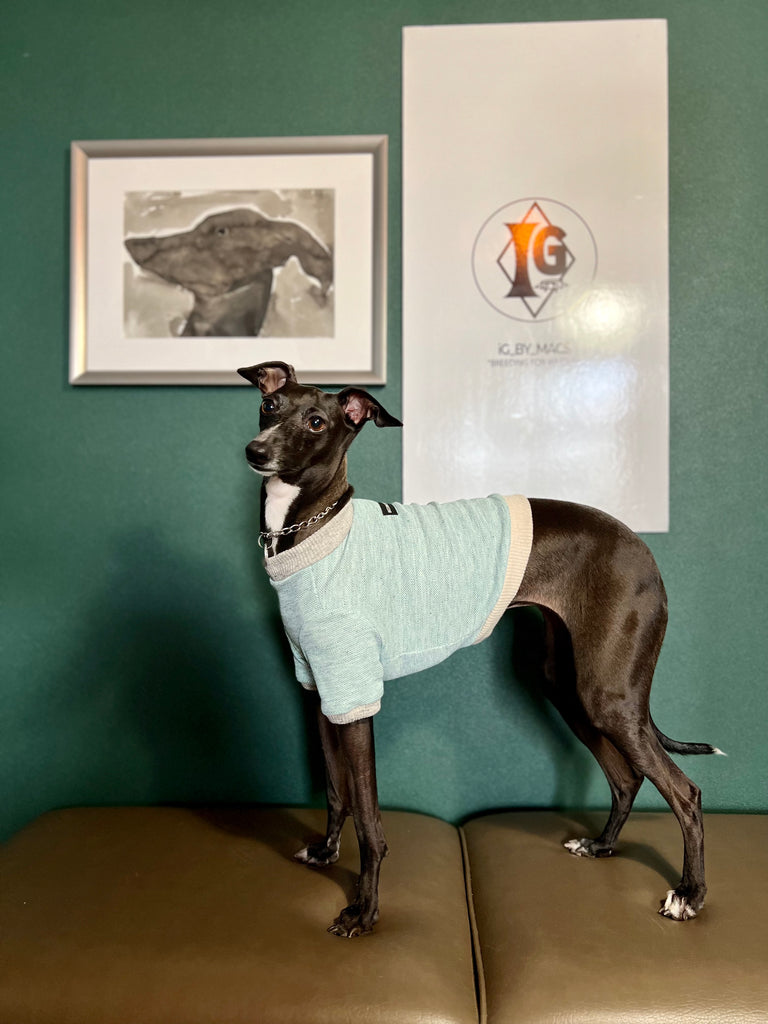 "go-to" Linen half sleeve T-shirt emerald green