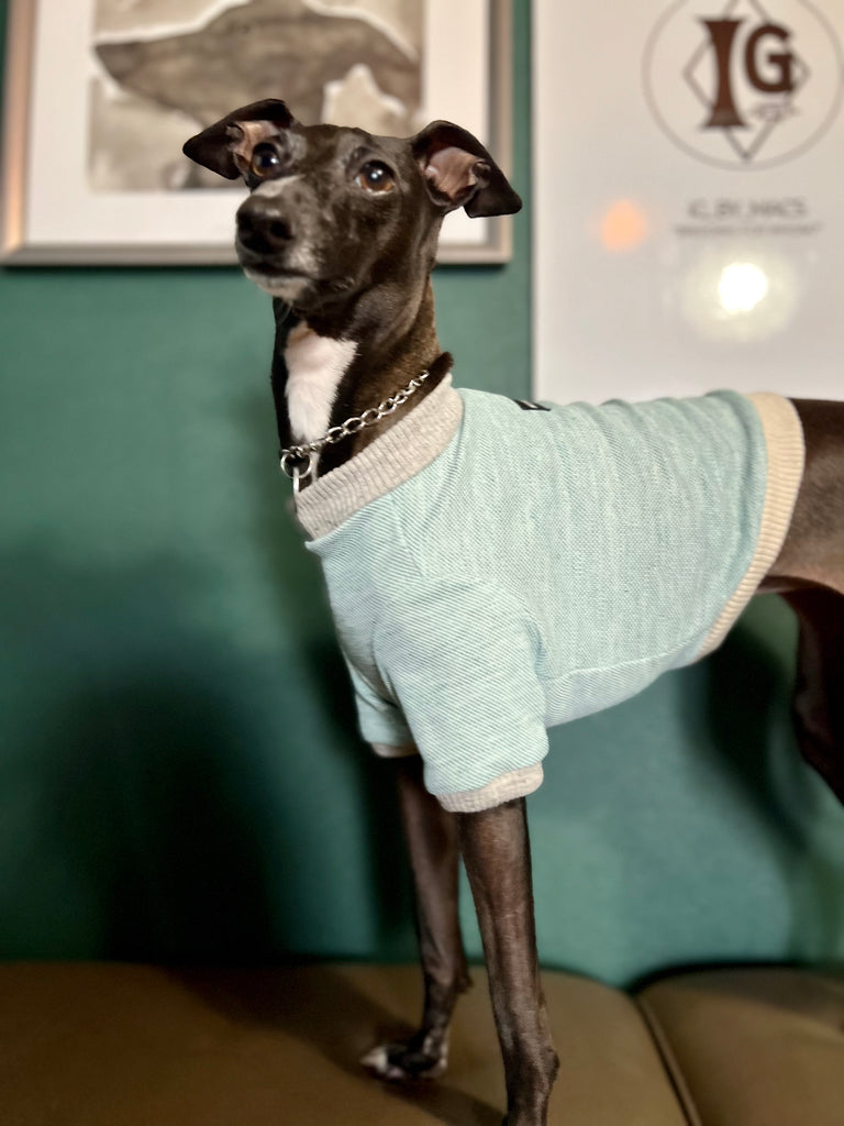 "go-to" Linen half sleeve T-shirt emerald green