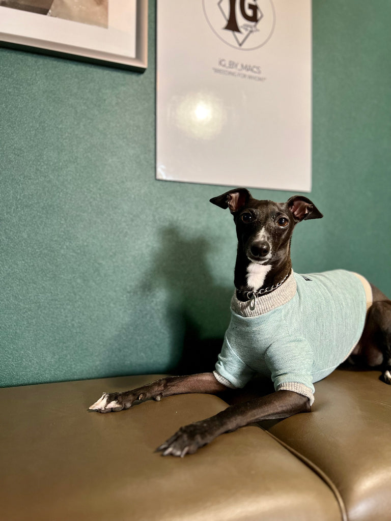 "go-to" Linen half sleeve T-shirt emerald green