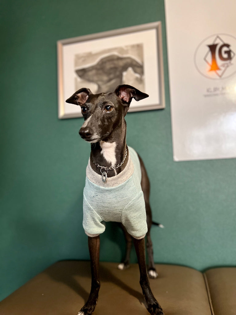 "go-to" Linen half sleeve T-shirt emerald green