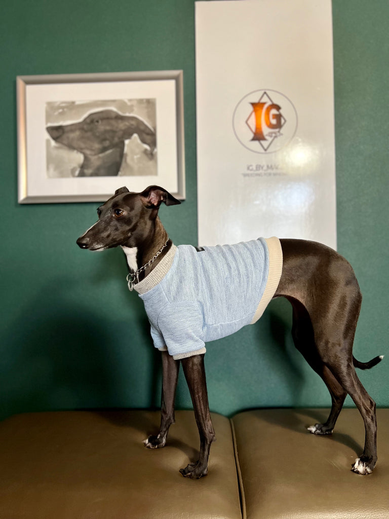 "go-to" Linen half sleeve T-Shirt sky blue