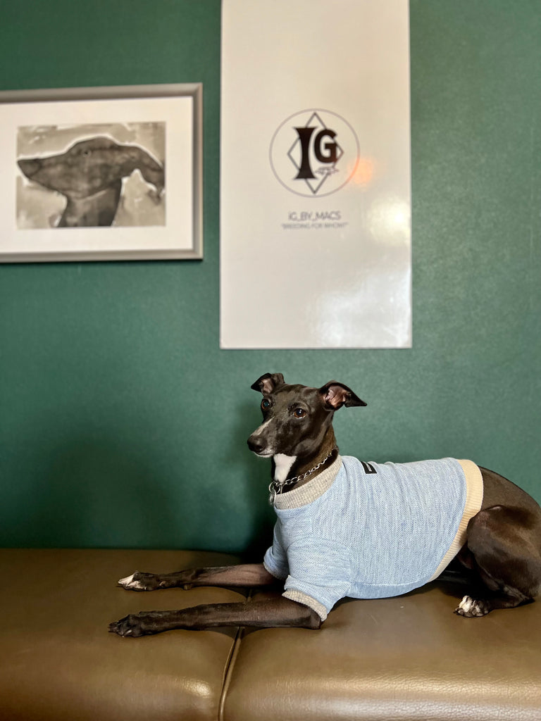 "go-to" Linen half sleeve T-Shirt sky blue