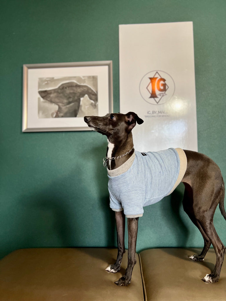 "go-to" Linen half sleeve T-Shirt sky blue