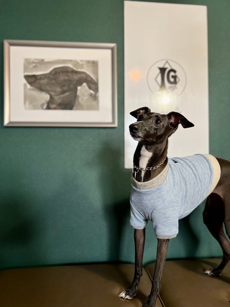 "go-to" Linen half sleeve T-Shirt sky blue