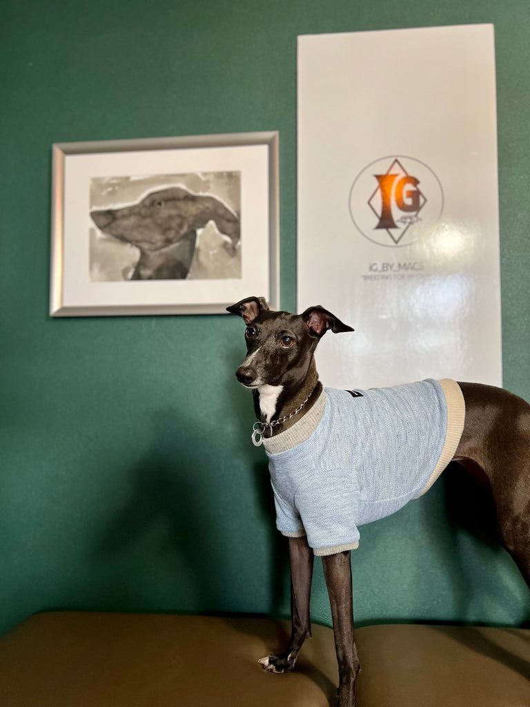 "go-to" Linen half sleeve T-Shirt sky blue
