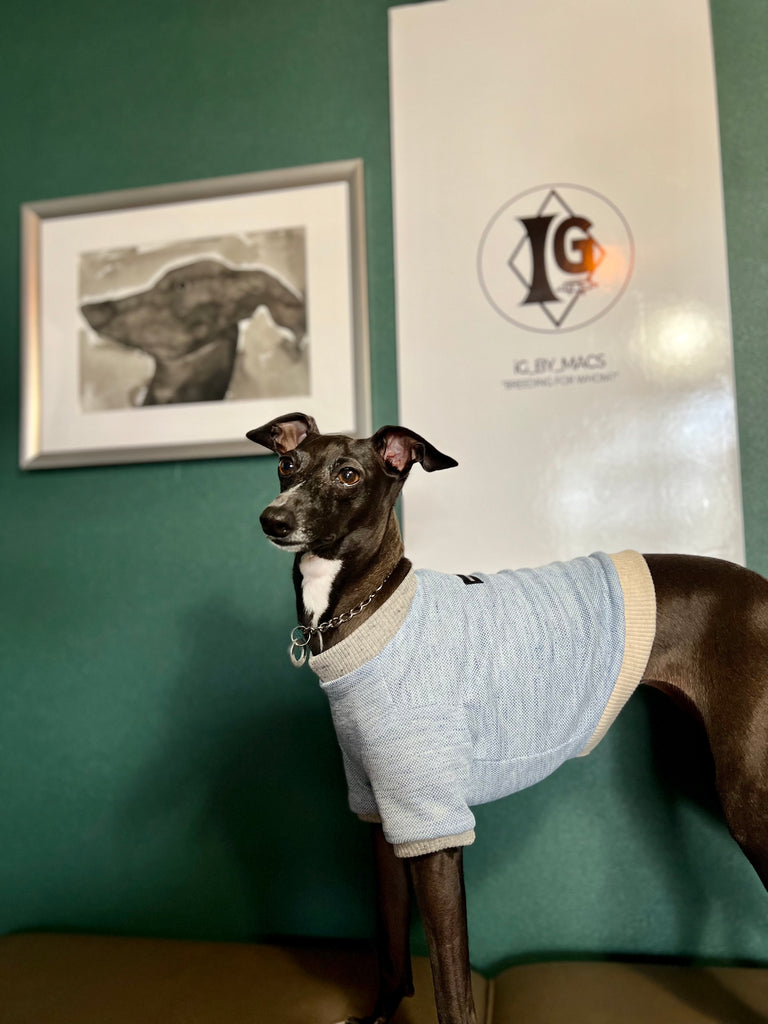 "go-to" Linen half sleeve T-Shirt sky blue