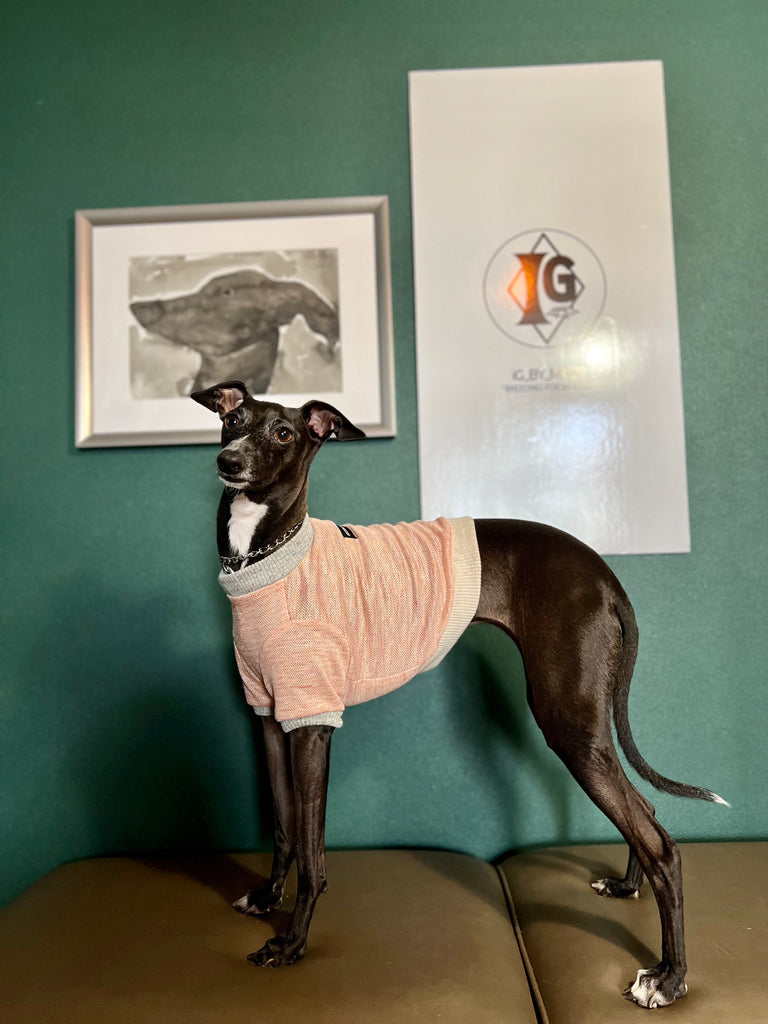 "go-to" Linen half Sleeve T-shirt salmon orange