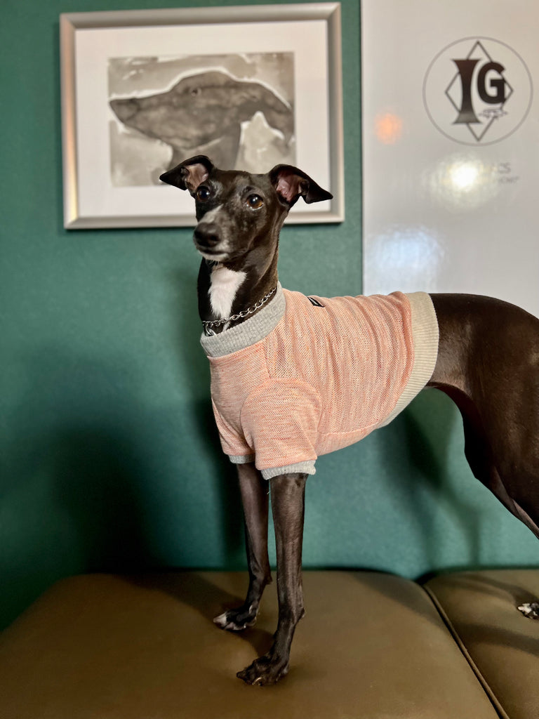 "go-to" Linen half Sleeve T-shirt salmon orange