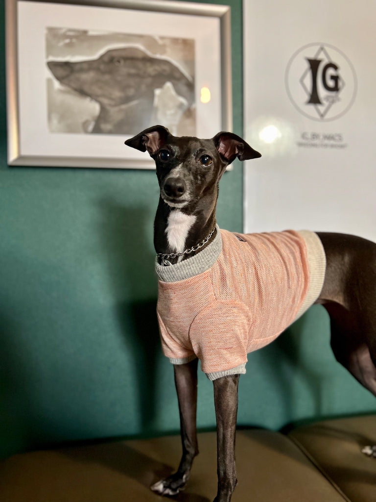 "go-to" Linen half Sleeve T-shirt salmon orange