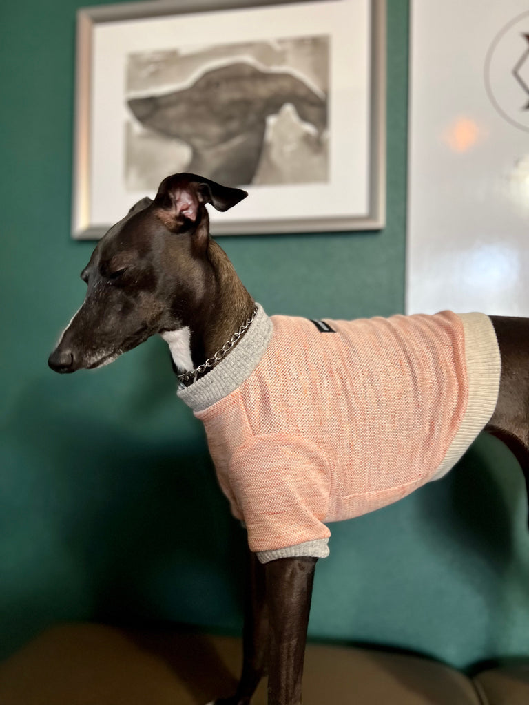 "go-to" Linen half Sleeve T-shirt salmon orange