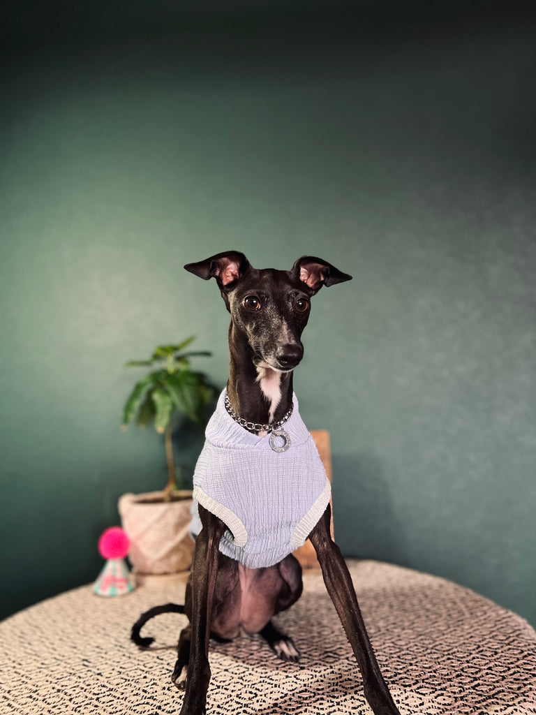"HYGGE2"リンクルワープ Knit No-Sleeve Sky blue Color